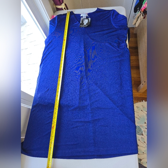 NWT Carolyn Strauss Shimmery Royal Blue Swing Dress Plus 2X - Picture 8 of 9